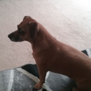 Meet your Posher, Lori